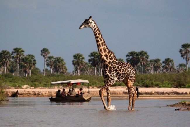 boat_safari_selous__2_
